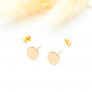 Boucles d'oreilles puces en plaqué or